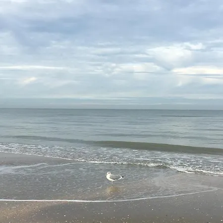 De Witte Berg Met Zonnig Zeezicht & Uniek Terras! * De Panne