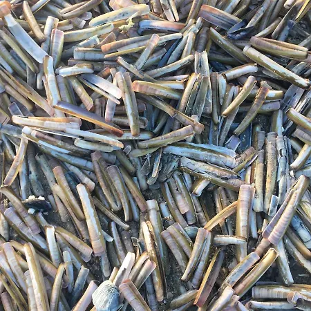 아파트 De Witte Berg Met Zonnig Zeezicht & Uniek Terras!