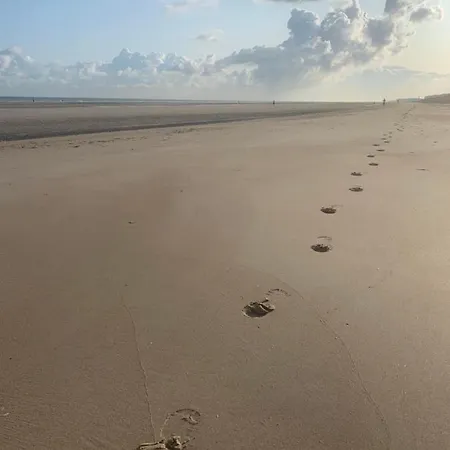 De Witte Berg Met Zonnig Zeezicht & Uniek Terras! Lejlighed