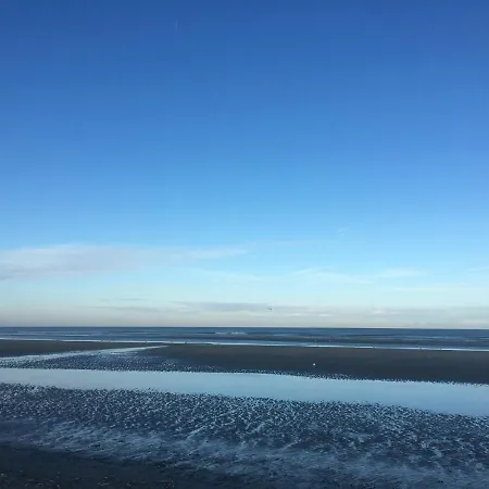 公寓 De Witte Berg Met Zonnig Zeezicht & Uniek Terras!