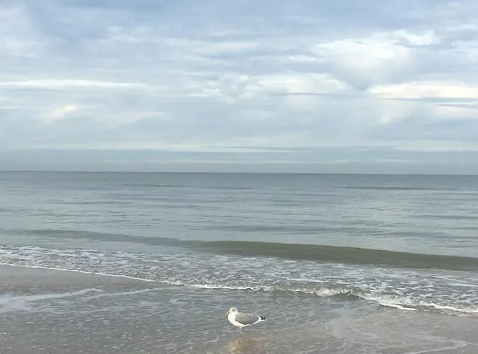 De Witte Berg Met Zonnig Zeezicht & Uniek Terras! * De Panne