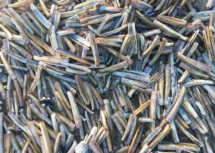 Apartment De Witte Berg Met Zonnig Zeezicht & Uniek Terras!