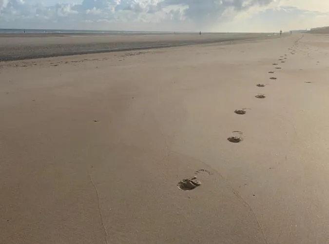 De Witte Berg Met Zonnig Zeezicht & Uniek Terras! Apartment