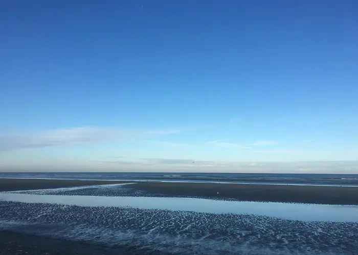 Apartment De Witte Berg Met Zonnig Zeezicht & Uniek Terras!
